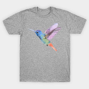 Watercolor Humming Bird T-Shirt